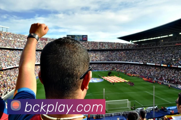 BCK体育官网发展历程